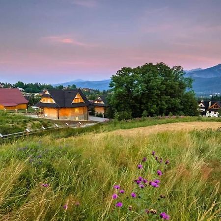 Willa Pitoniowka Z Sauna, Netflix Oraz Xbox One Kościelisko Extérieur photo