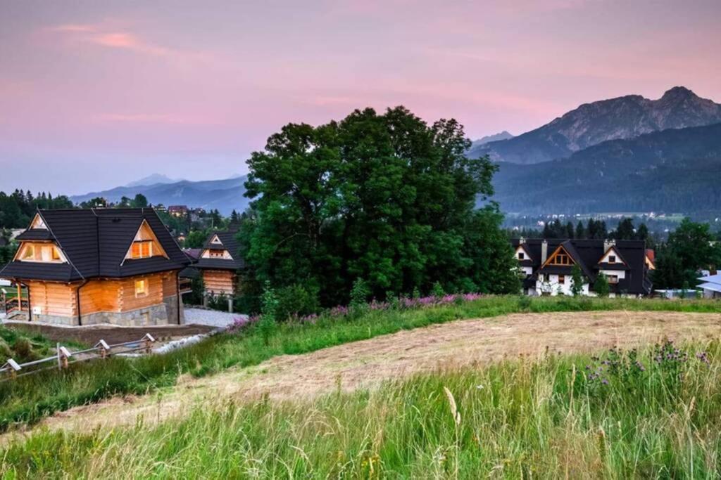 Willa Pitoniowka Z Sauna, Netflix Oraz Xbox One Kościelisko Extérieur photo