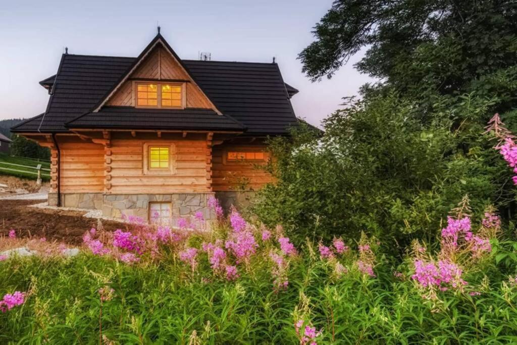 Willa Pitoniowka Z Sauna, Netflix Oraz Xbox One Kościelisko Extérieur photo